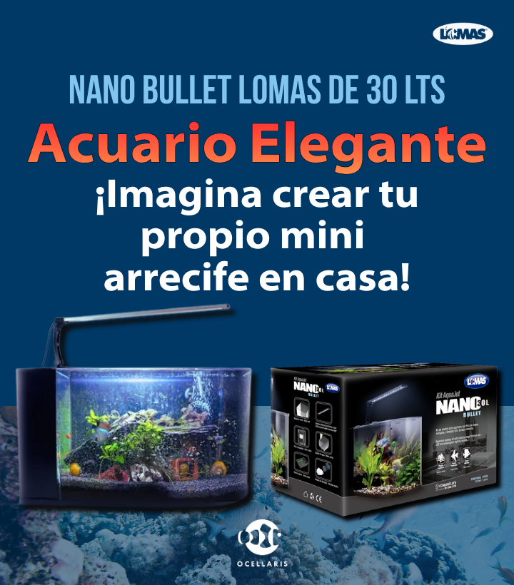 Nano Bullet 30 Litros