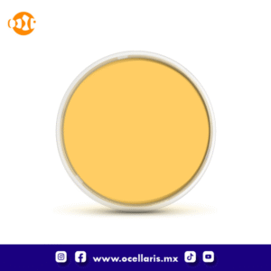 Flipper DeepSee Orange Lens Filter - 5 Pulgadas - Transparente