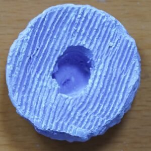 Plug para Euphyllias