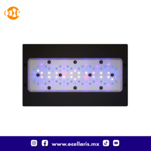 Ecotech Marine Radion XR30 G6 Blue LED Light