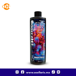 Boost pH+ - 500 ml