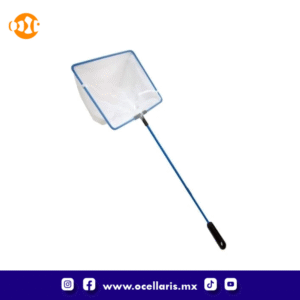 JBJ Red fina con mango plástico - 8 plg