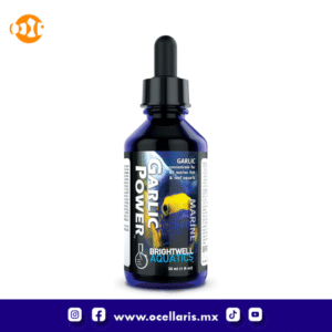 Garlic Power - Suplemento de Ajo - 30ml