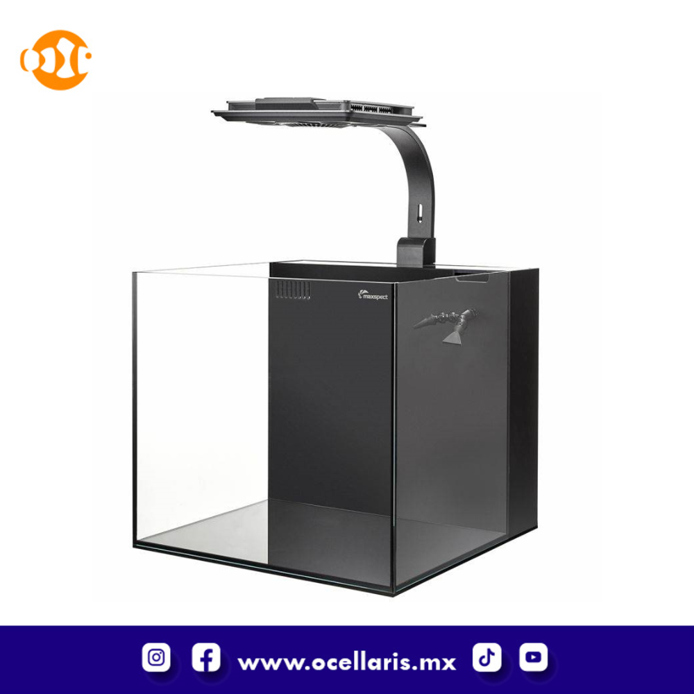 Acuario Dice AIO Nano Cube con Lámpara LED – 12 Gal - Image 4