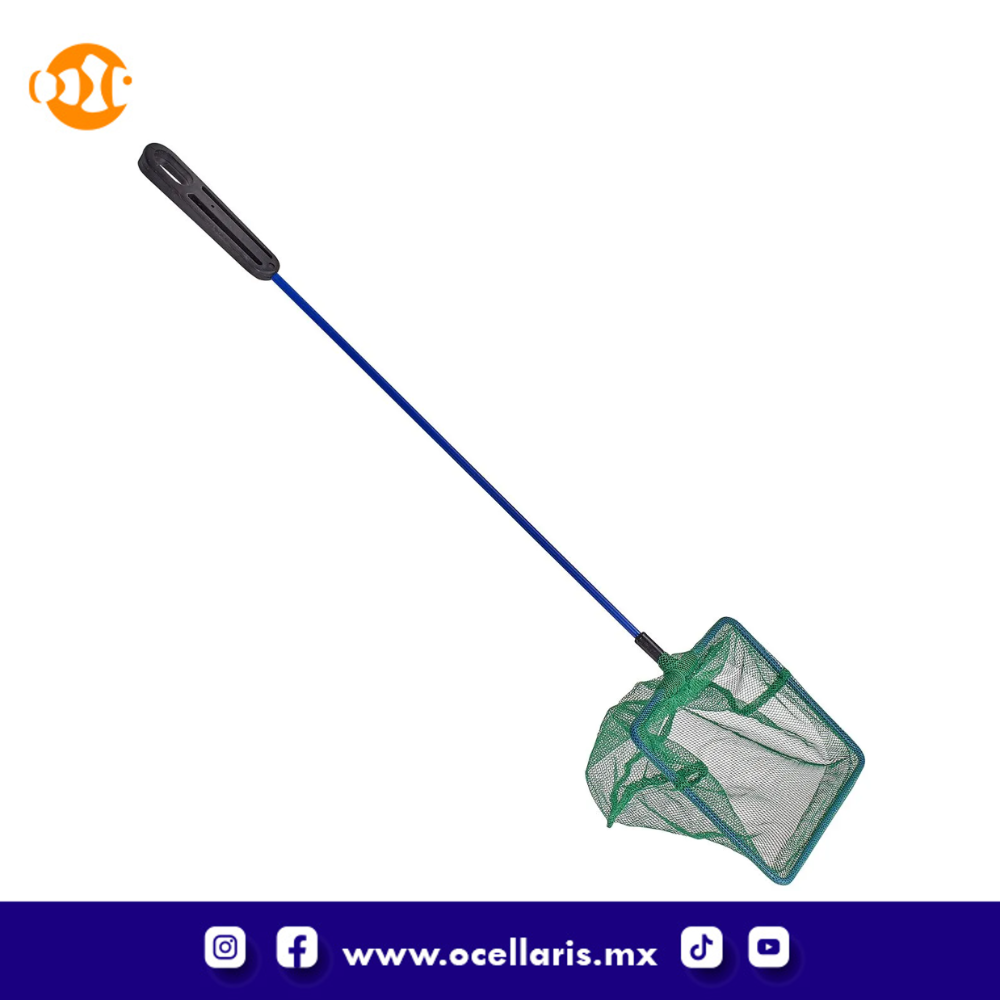 JBJ Red gruesa con mango plástico – 4 plg