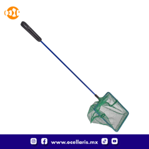 JBJ Red gruesa con mango plástico – 3 plg