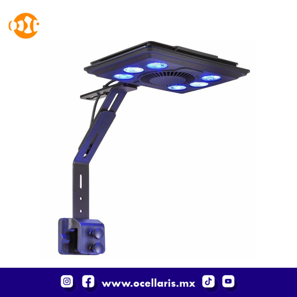 Acuario Dice AIO Nano Cube con Lámpara LED – 12 Gal - Image 10