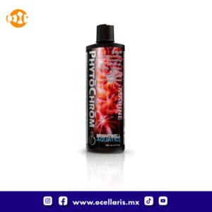 PhytoChrom - Fitoplancton x6 - 500 ml