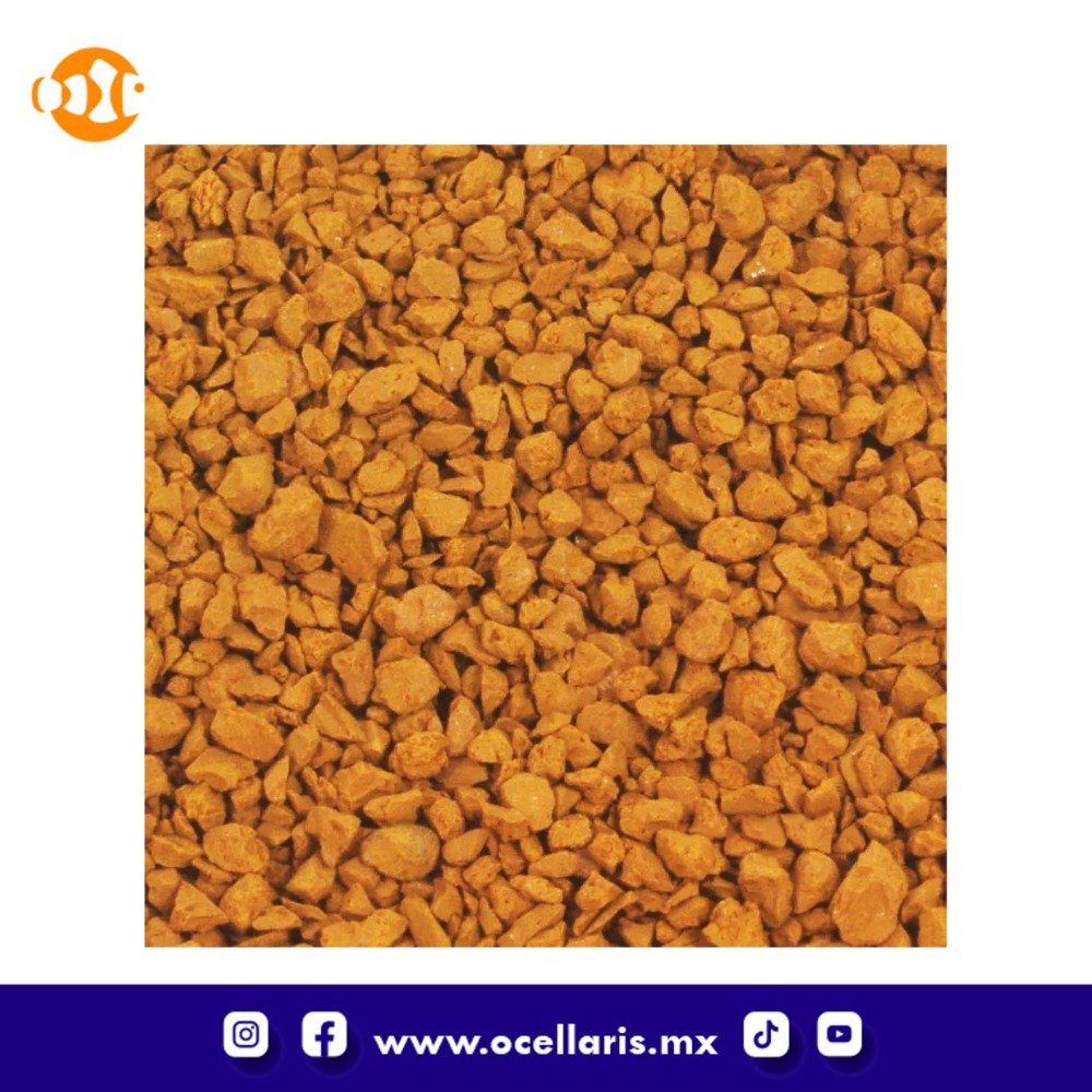 Óxido Férrico Granular GFO - 1 Galon (4 Libras) - Image 3