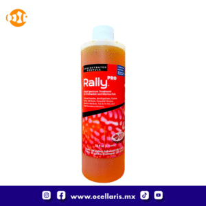 Ruby Reef Rally Pro - 16 oz