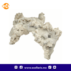 South Seas Arches - 20 Lbs 4 pzas 12 pulg