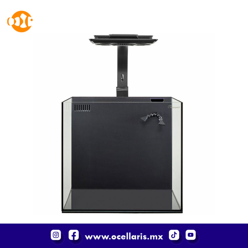 Acuario Dice AIO Nano Cube con Lámpara LED – 12 Gal - Image 3