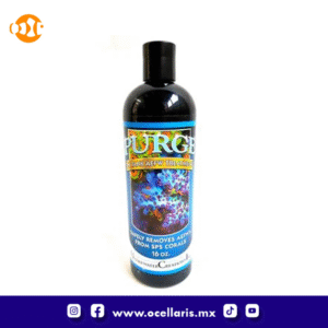 Purge - Destructor de gusanos planos - 16 oz