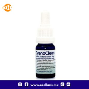 CyanoClean - 10 ml