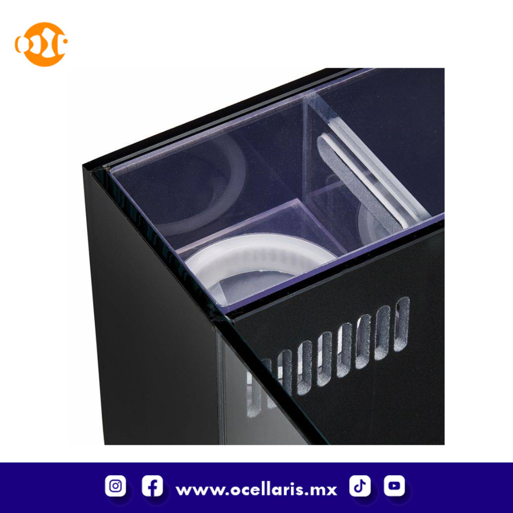 Acuario Dice AIO Nano Cube con Lámpara LED – 12 Gal - Image 6