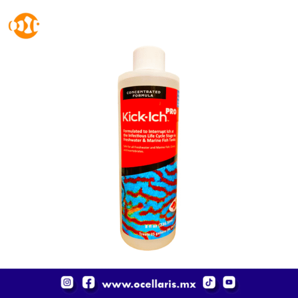 Ruby Reef Kick Ich Pro – 8 oz – Ocellaris