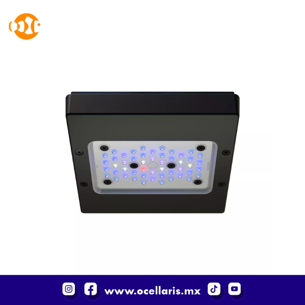 Ecotech Radion XR15 G6 Blue LED Light - Image 2