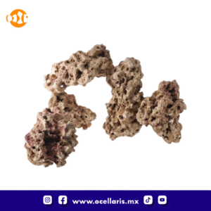 CaribSea Moani Dry Live Rock - 40 Lbs