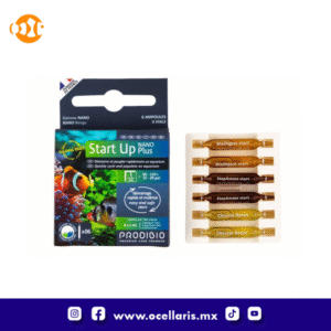 Start Up Nano Plus - Bacteria - 6 ampolletas
