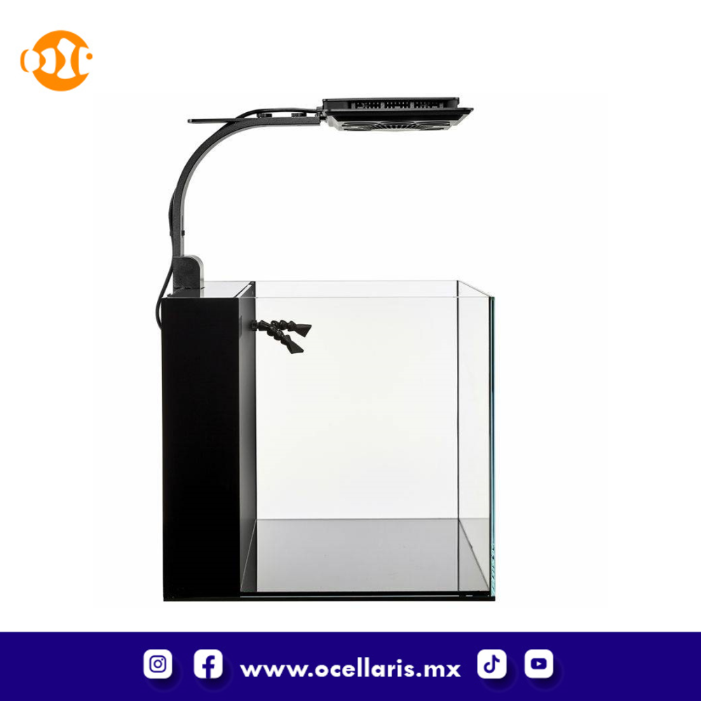 Acuario Dice AIO Nano Cube con Lámpara LED – 12 Gal - Image 2