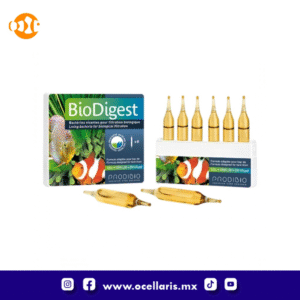 BioDigest - Bacteria - 6 ampolletas