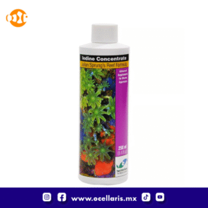 Iodine Concentrate - 250ml