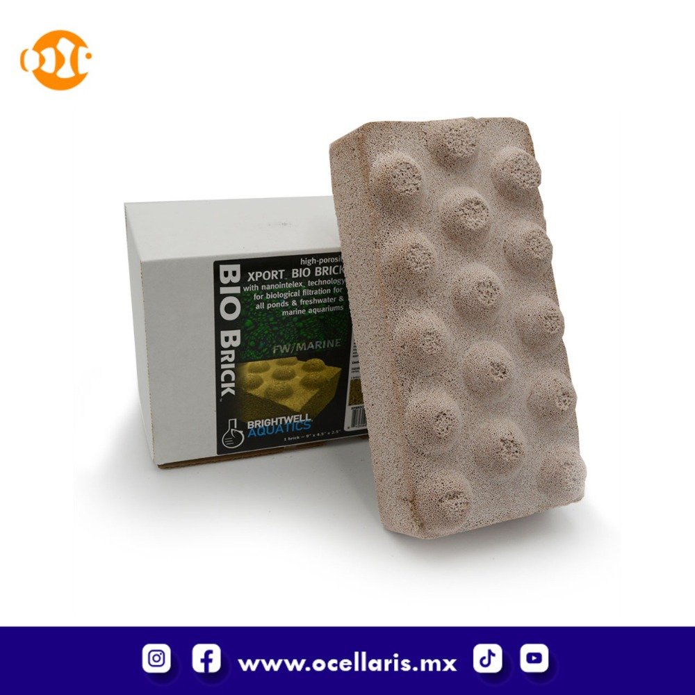 Xport BIO Brick - Reduce amoníaco y nitritos