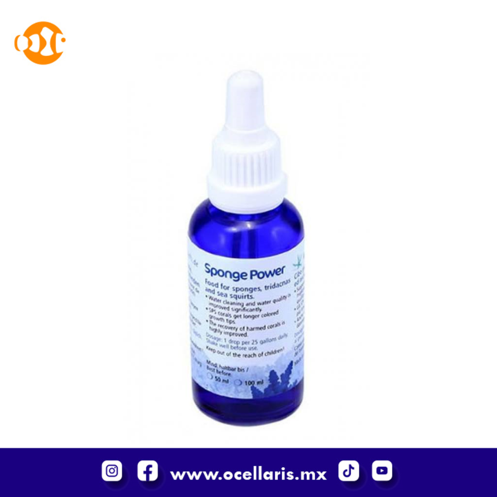 Sponge Power Concentrado - 50 ml