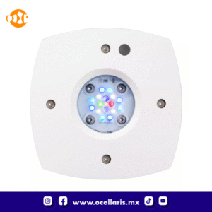 AI Prime 16 HD LED - Módulo Blanco