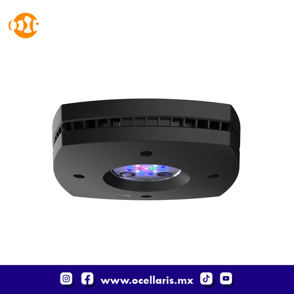 AI Prime 16 HD LED - Módulo Negro - Image 5