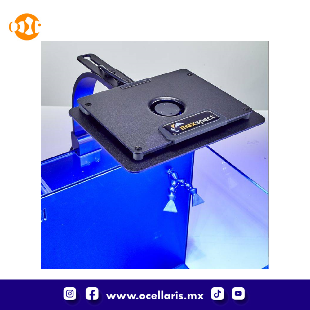 Acuario Dice AIO Nano Cube con Lámpara LED – 12 Gal - Image 5