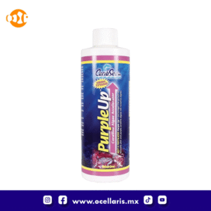 PurpleUp - Crecimiento de algas coralinas - 8 oz