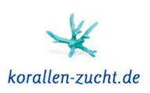 Korallen-Zucht
