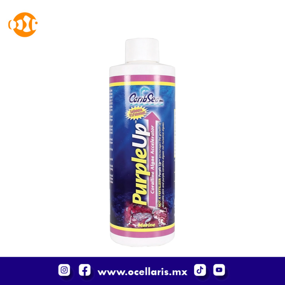 PurpleUp - Crecimiento de algas coralinas - 16 oz