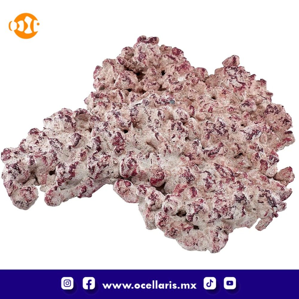 AF Rock Shelf - Roca para Acuario - 10Kg - Image 3