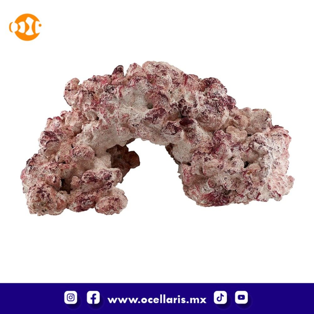 AF Rock Arch - Roca para Acuario - 10Kg - Image 2