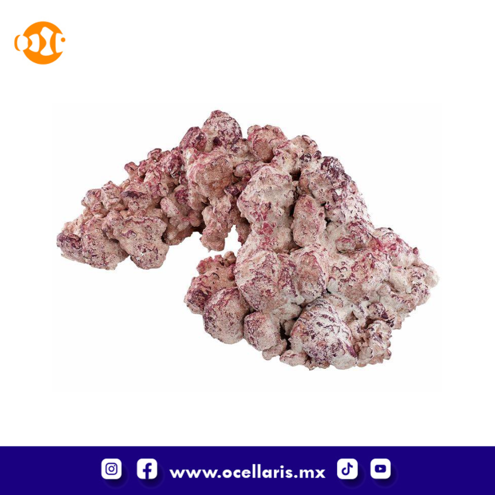 AF Rock Arch - Roca para acuario - 18kg - Image 3
