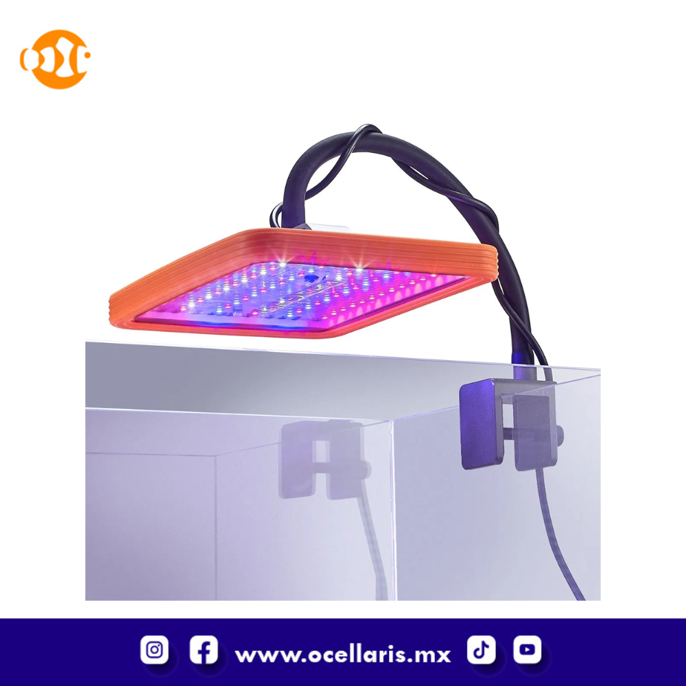 Neptune Systems GRO - Lámpara de Refugio con soporte de montaje - Image 2