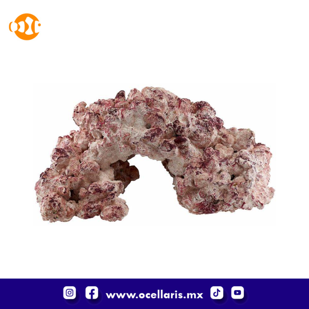 AF Rock Arch - Roca para acuario - 18kg - Image 2