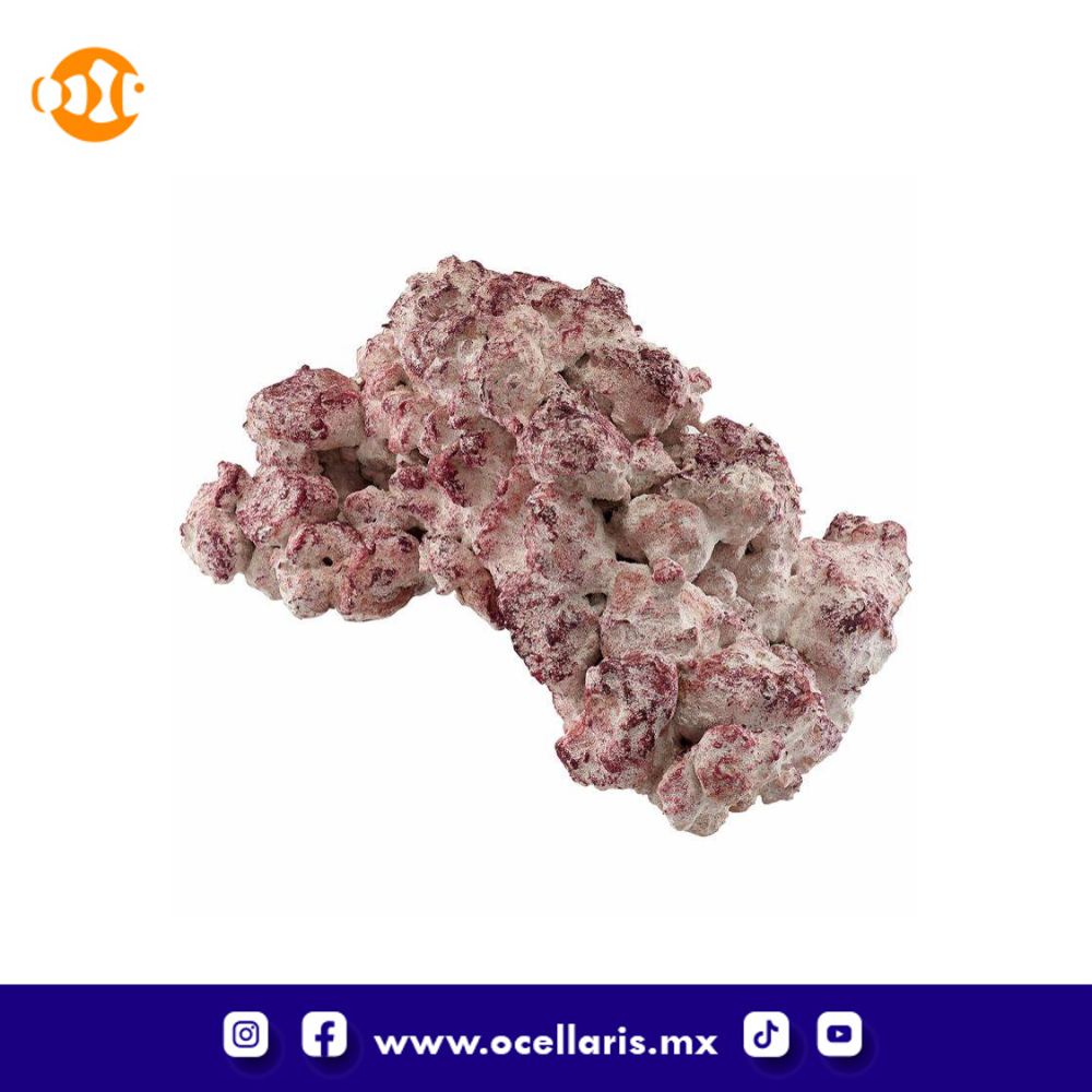 AF Rock Arch - Roca para acuario - 18kg - Image 6