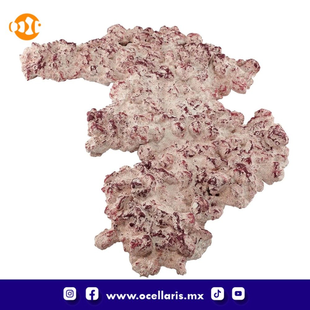 AF Rock Shelf - Roca para Acuario - 10Kg - Image 7