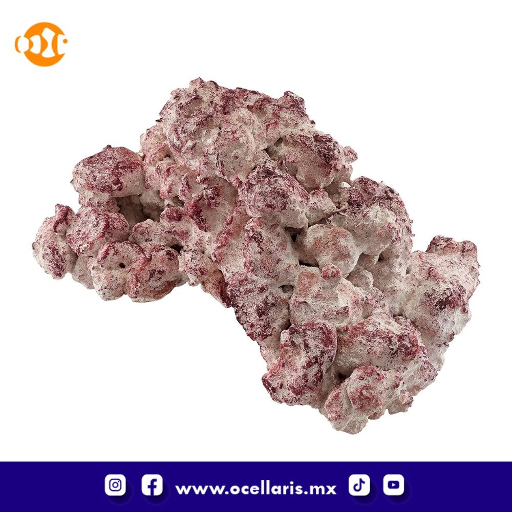 AF Rock Arch - Roca para Acuario - 10Kg - Image 6