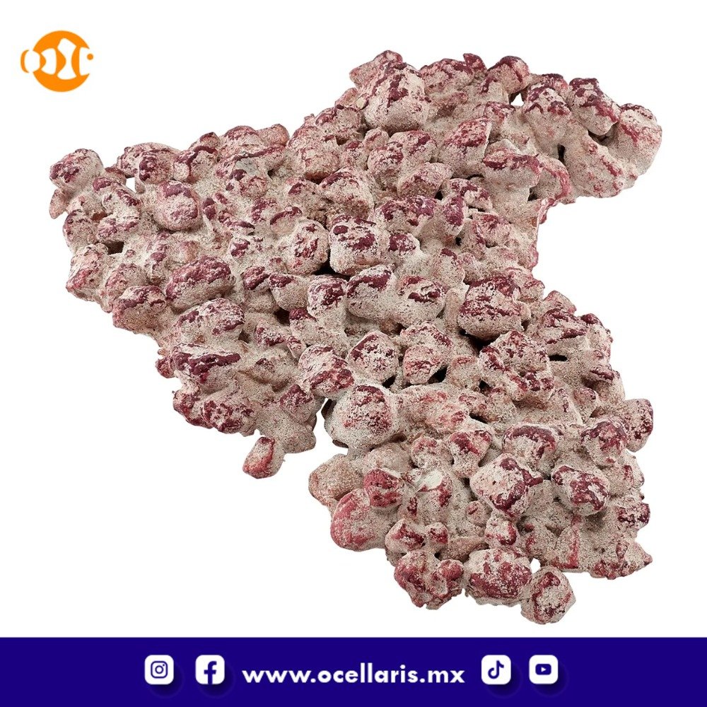AF Rock Shelf - Roca para Acuario - 10Kg - Image 5