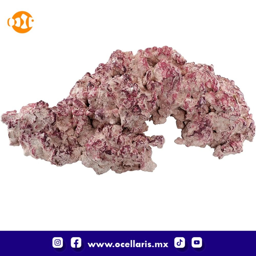 AF Rock Arch - Roca para Acuario - 10Kg - Image 4