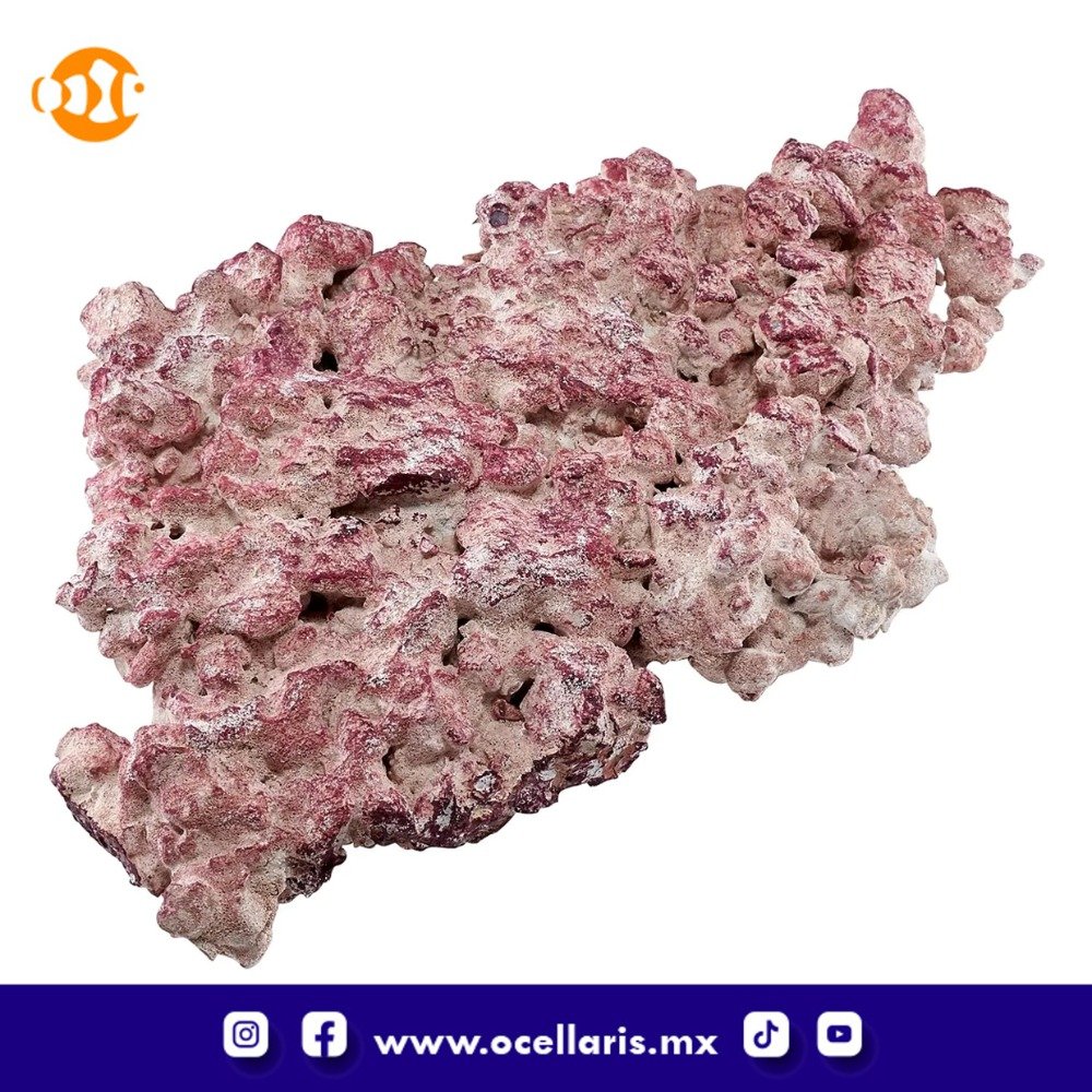 AF Rock Shelf - Roca para Acuario - 10Kg - Image 4