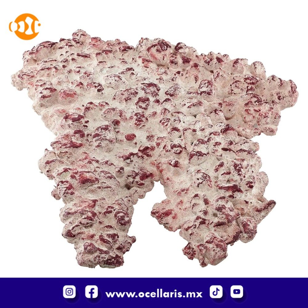 AF Rock Shelf - Roca para Acuario - 10Kg - Image 6