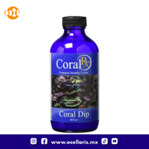 Coral RX Coral Dip - 8 oz