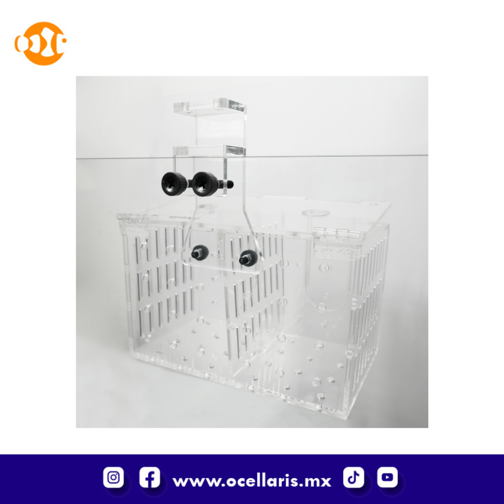 Caja de aclimatación con 2 compartimentos - Image 6