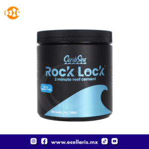 Rock Lock - Pegamento - 500 g