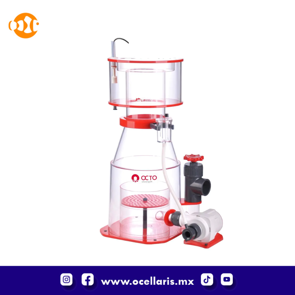 Octo Regal 250INT Protein Skimmer